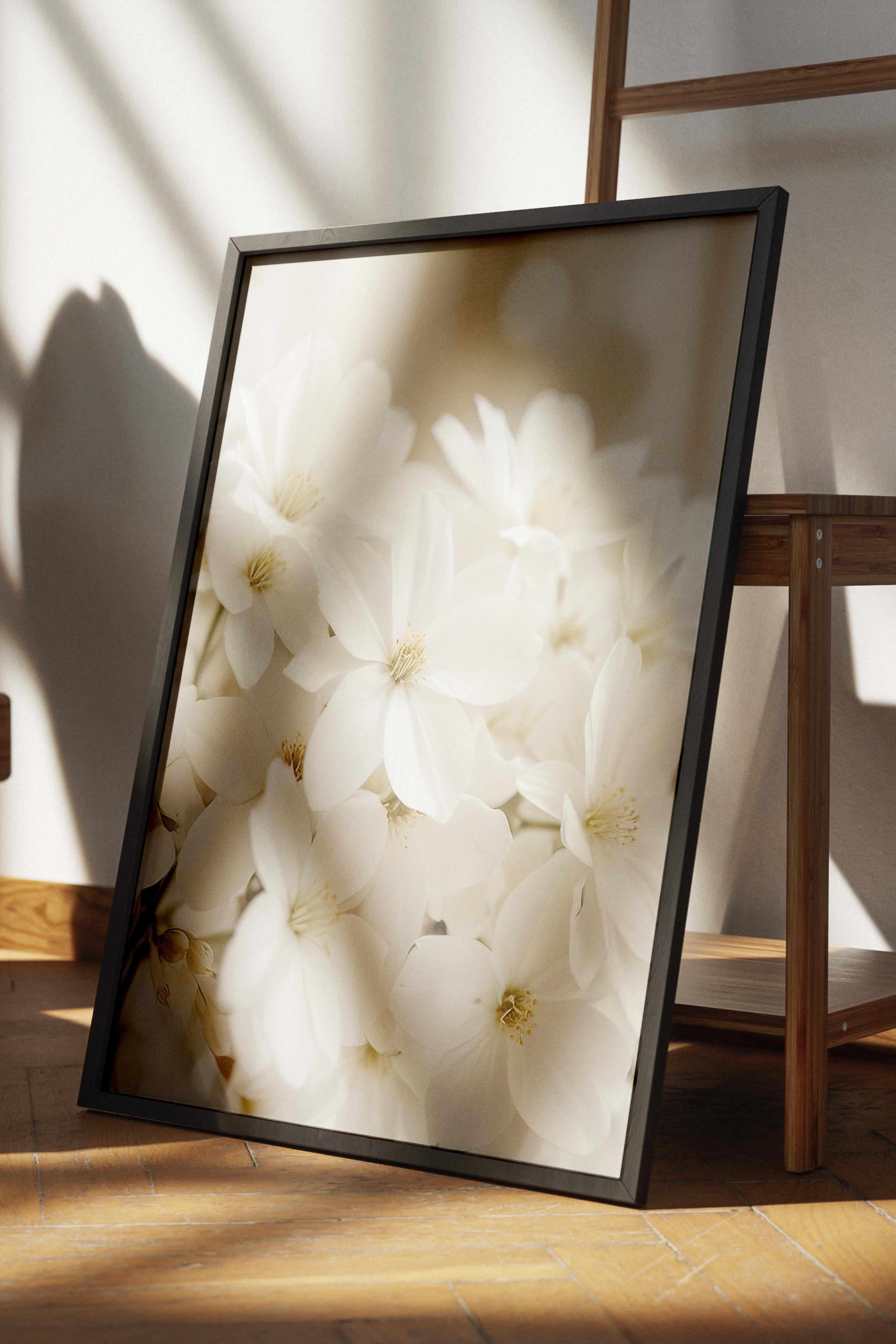 Soft White Bloom Çerçeveli Tablo, Siyah Çerçeve ve Poster, Duvar Tablosu Comfort Serisi NO:108344