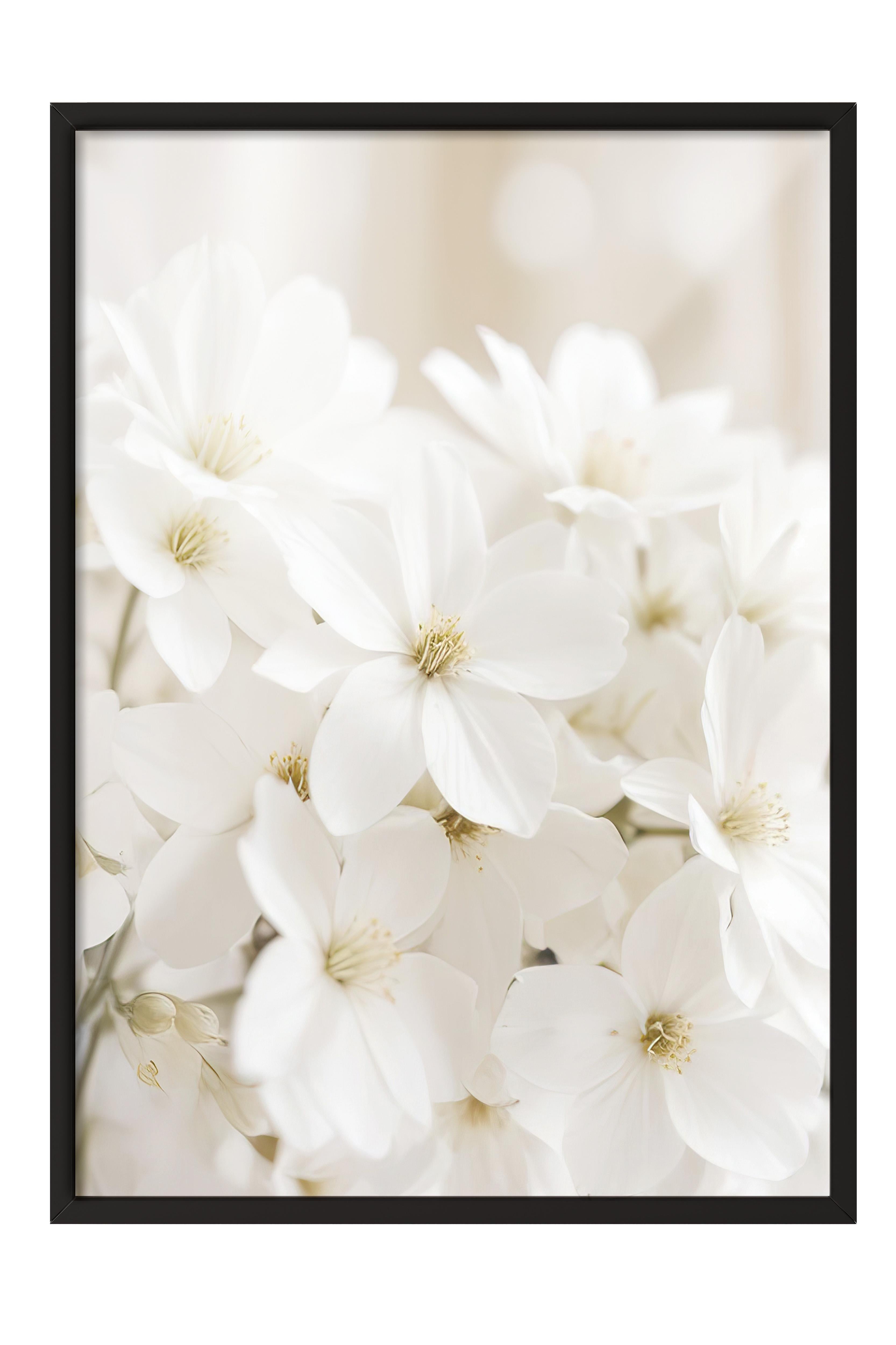 Soft White Bloom Çerçeveli Tablo, Siyah Çerçeve ve Poster, Duvar Tablosu Comfort Serisi NO:108344