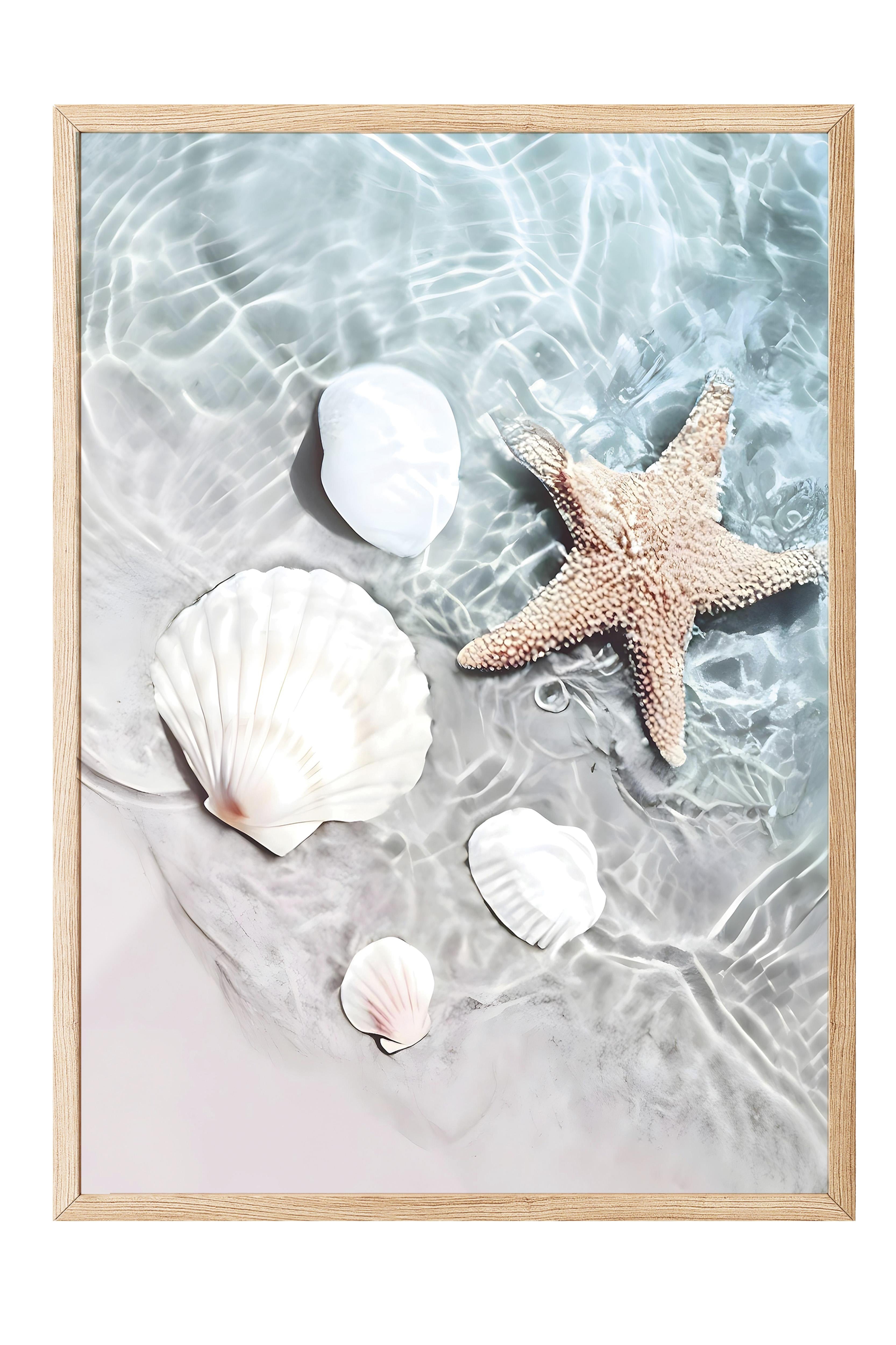 Starfish and Seashell Ahşap Çerçeveli Tablo, Duvar Tablosu Comfort Serisi NO:108423