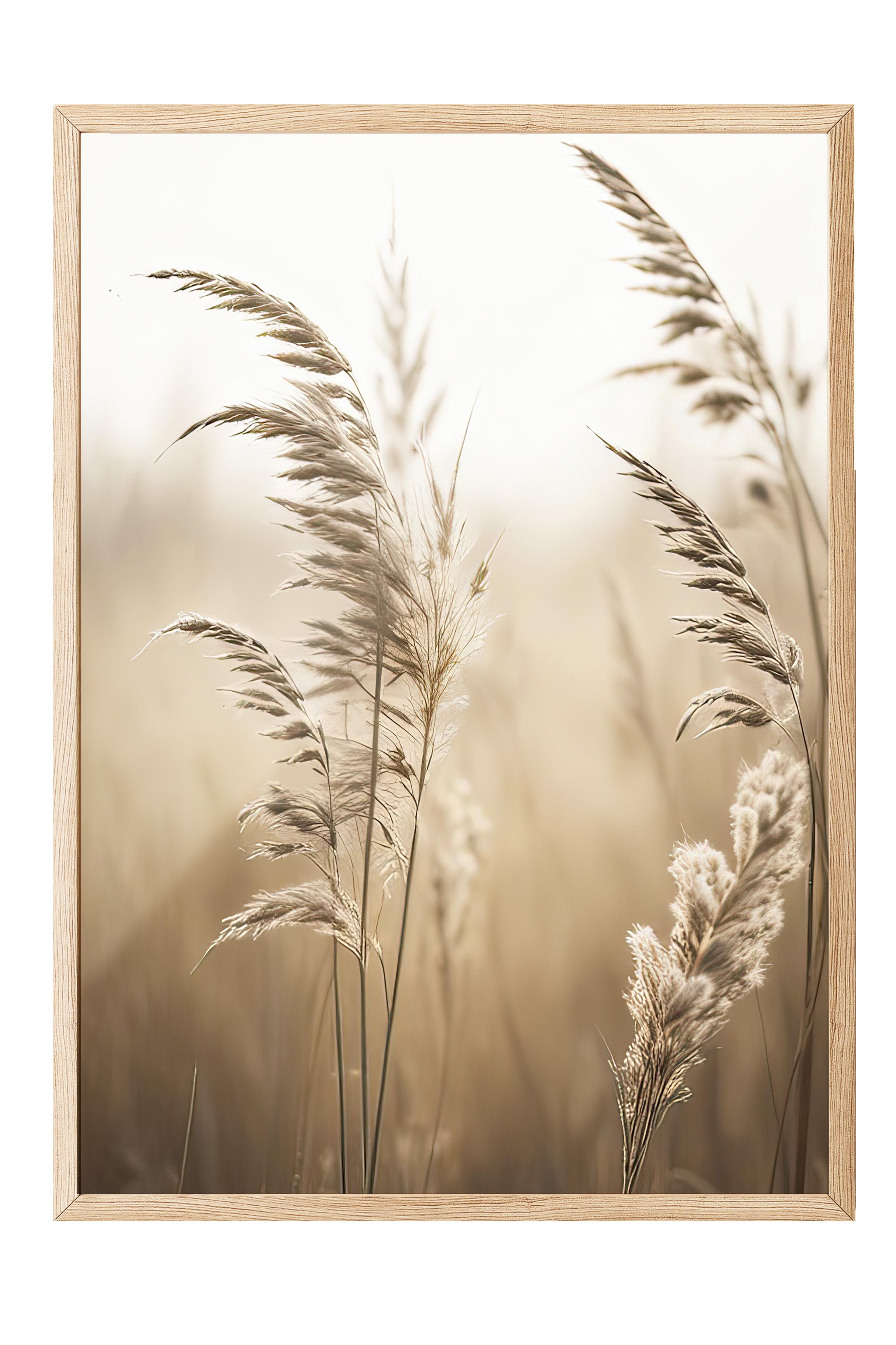 Sunlight Reed Çerçeveli Tablo, Ahşap Çerçeve ve Poster, Dikey Duvar Tablosu Comfort Serisi NO:108409