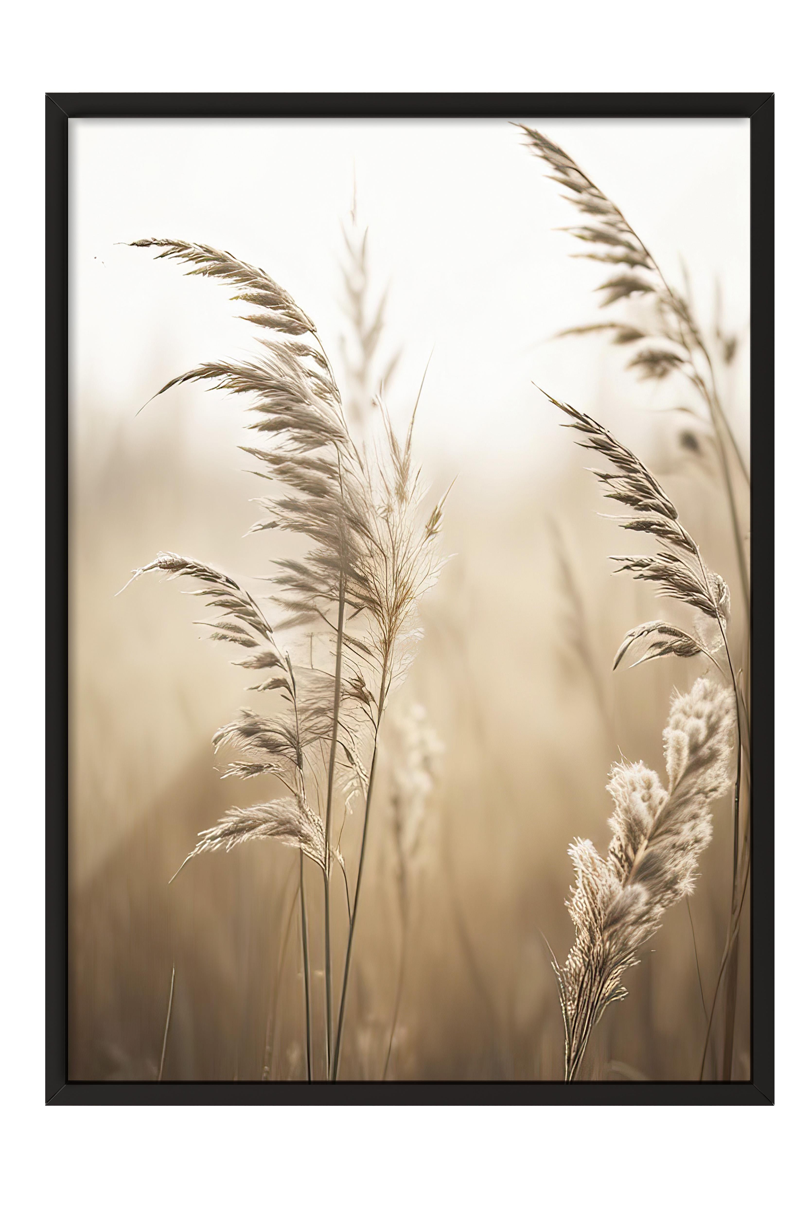 Sunlight Reed Çerçeveli Tablo, Siyah Çerçeve ve Poster, Dikey Duvar Tablosu Comfort Serisi NO:108409