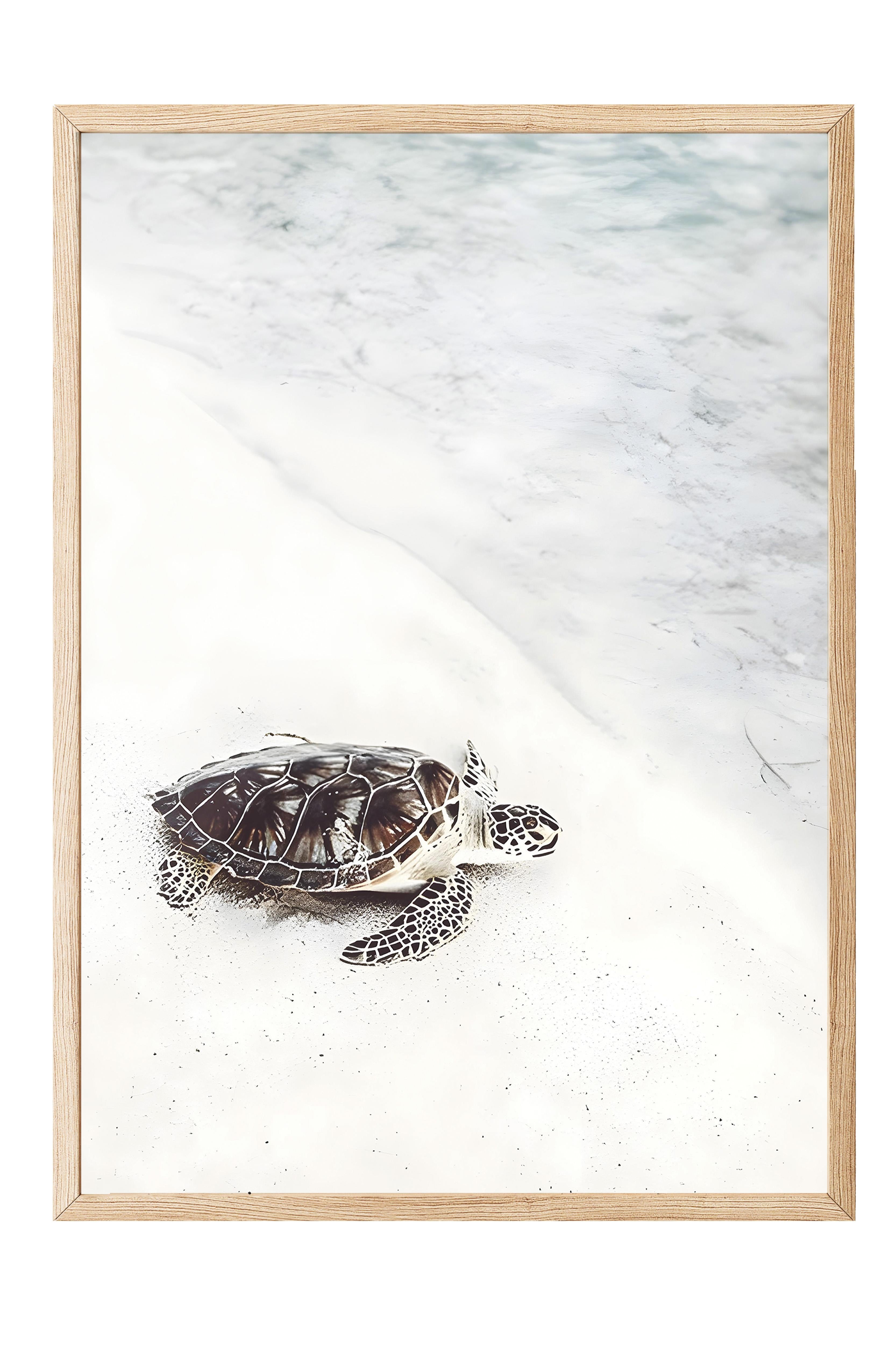 Turtle on the Beach Çerçeveli Tablo, Ahşap Çerçeve ve Poster, Duvar Tablosu Comfort Serisi NO:108422