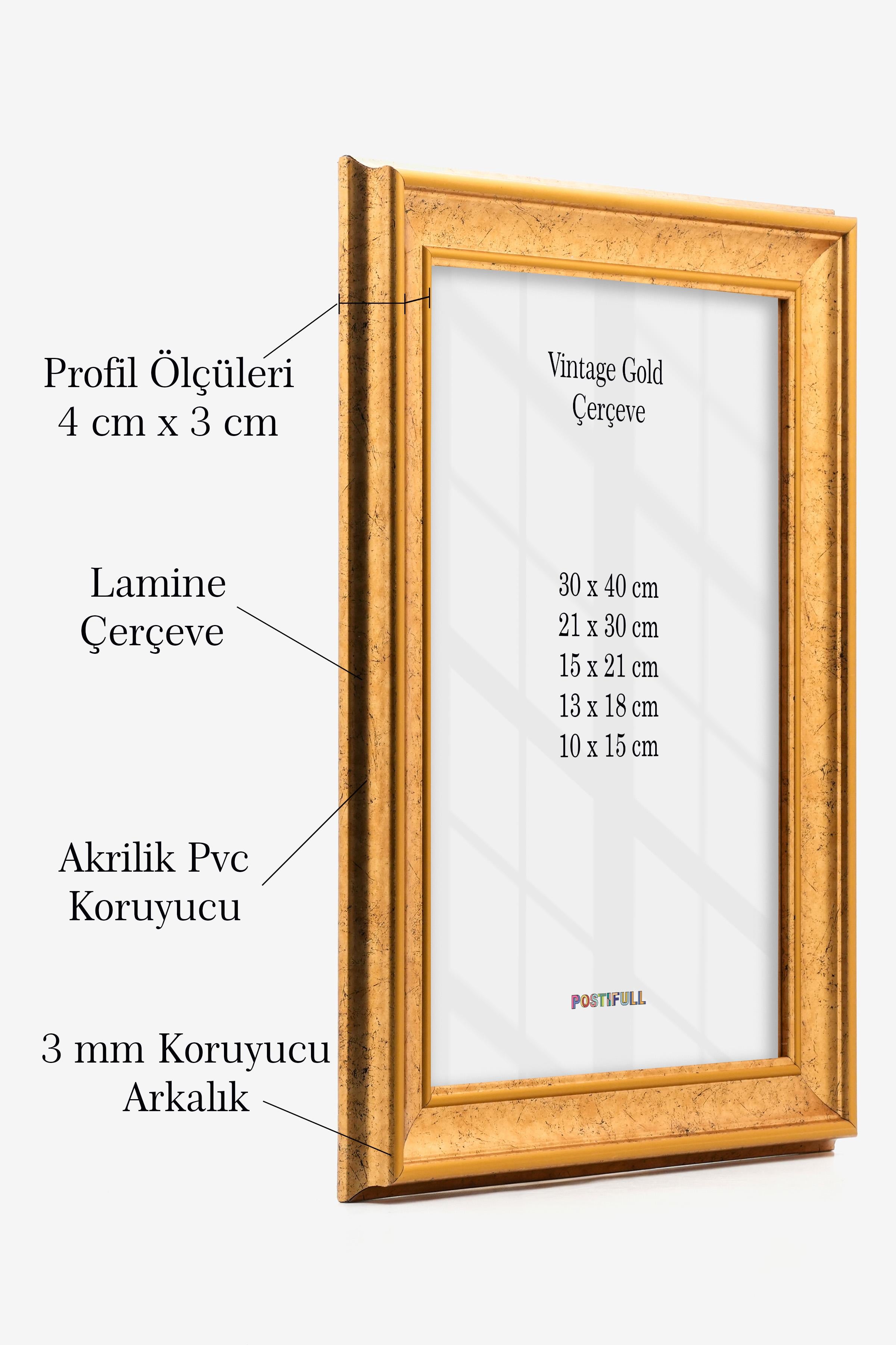 Vintage Gold Çerçeve, Poster ve Fotoğraf Çerçevesi, Kalın Profil Duvar Çerçevesi, Parlak Renkli