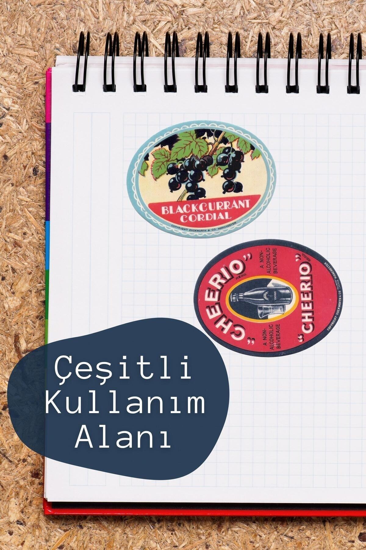 Vintage Temalı Sticker Seti - 8 Adet Etiket Seti- Telefon, Tablet, Defter Laptop Uyumlu Etiket