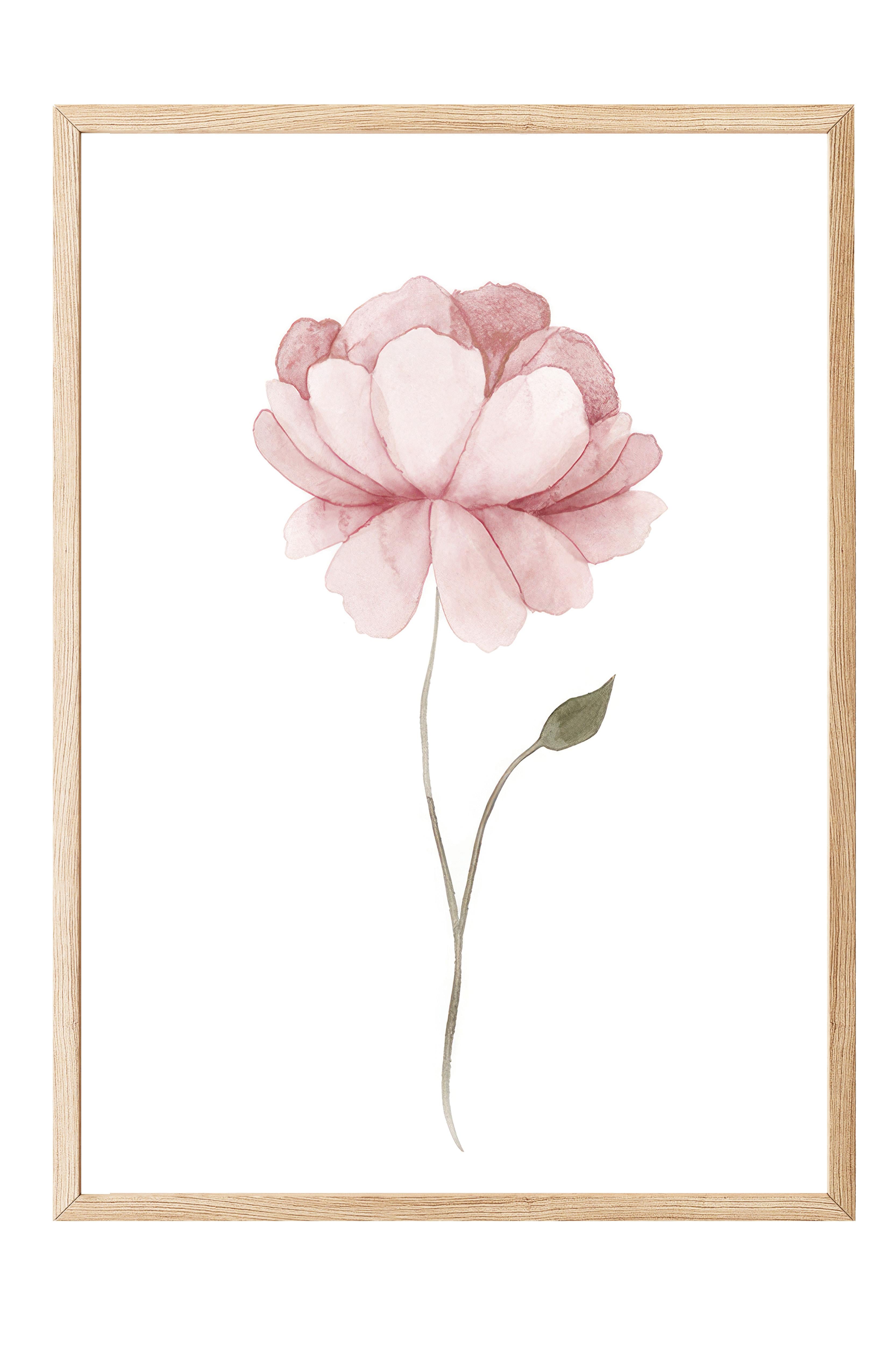 Watercolour Peony Çerçeveli Tablo, Ahşap Çerçeve ve Poster, Duvar Tablosu Comfort Serisi NO:108493